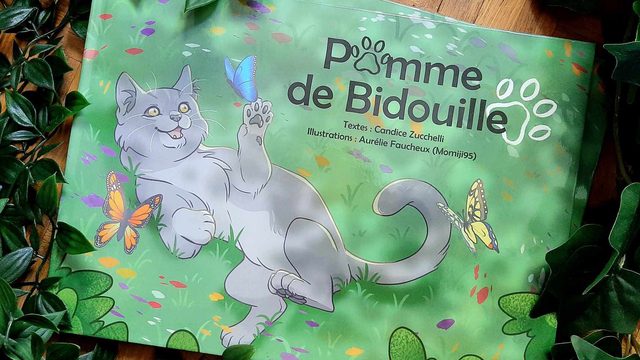 Photo de l'album Pomme de Bidouille, destiné aux enfants de 3 à 8 ans