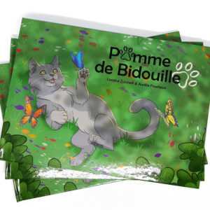 Photo de couverture de l'album Pomme de Bidouille