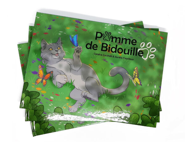 Photo de couverture de l'album Pomme de Bidouille